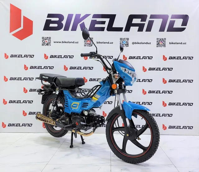BIKELAND DELTA STANDARD